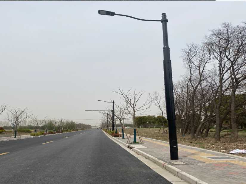 汝阳县上海综合杆 太阳能路灯工程